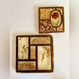 2 Vintage Lucite Dried Seeds Flowers and Ladybug Trivets